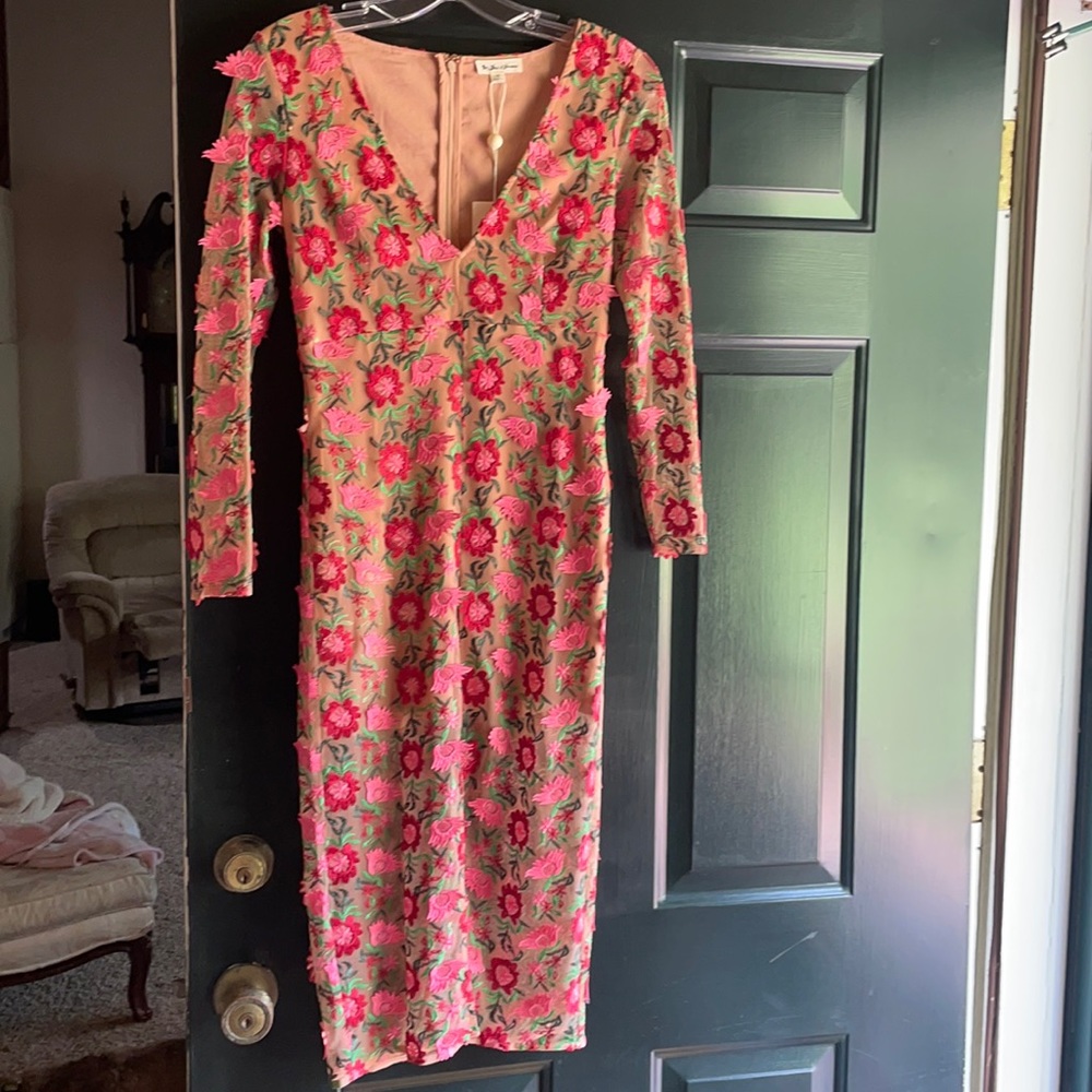 For love and lemons Valentine’s Rose dress size Small